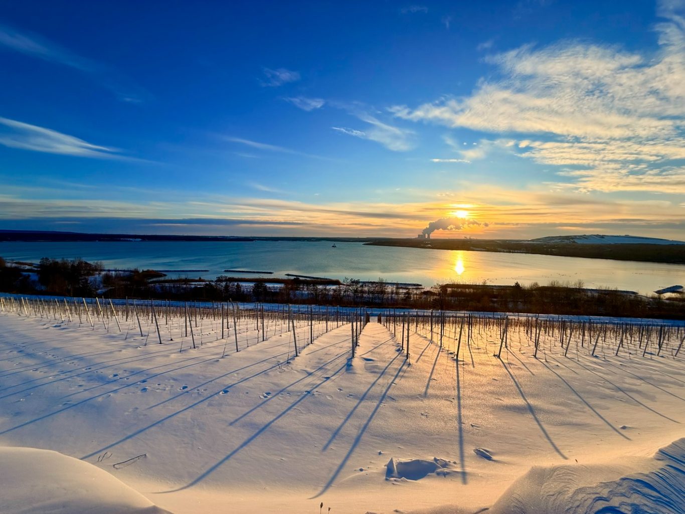 Winter am Störmthaler See - Blick über Weinberg
